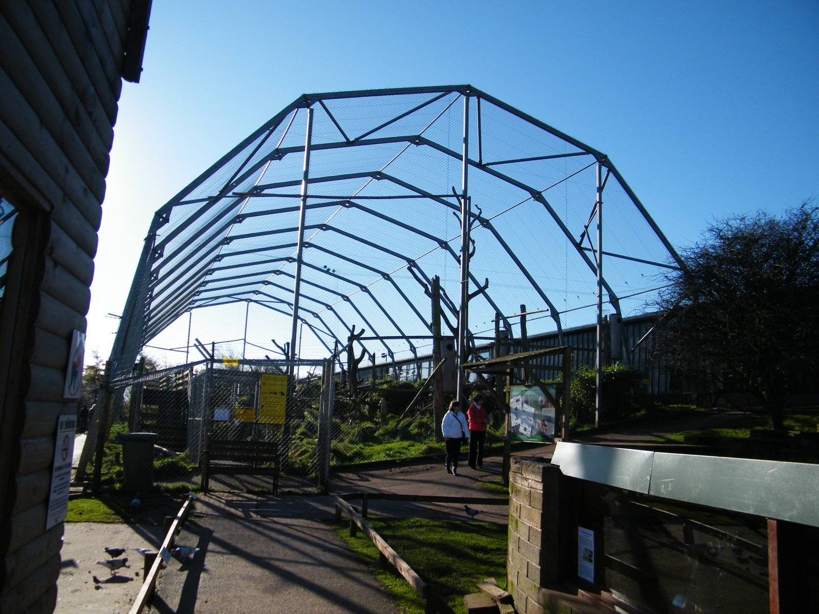 Walk through Condor and Vulture Aviary
