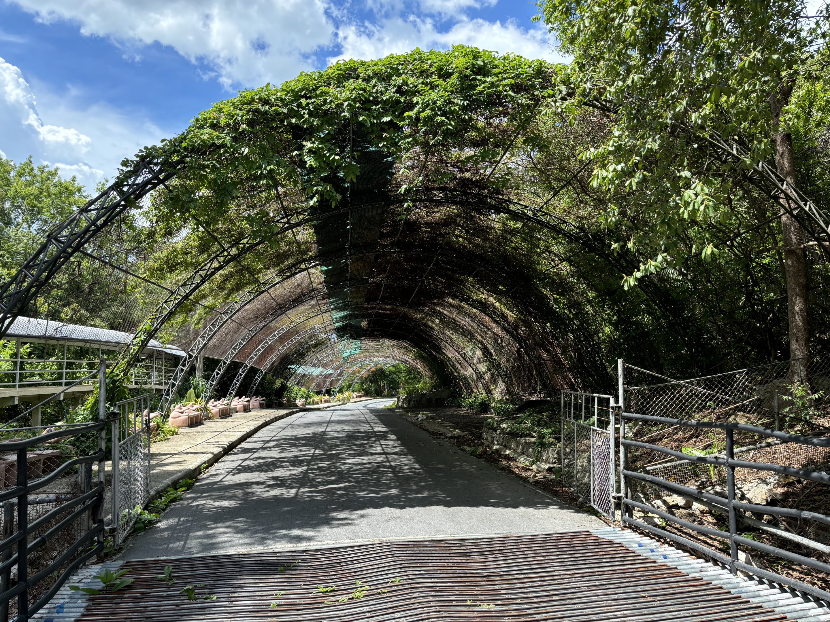 Walk-through Deer Exhibit
