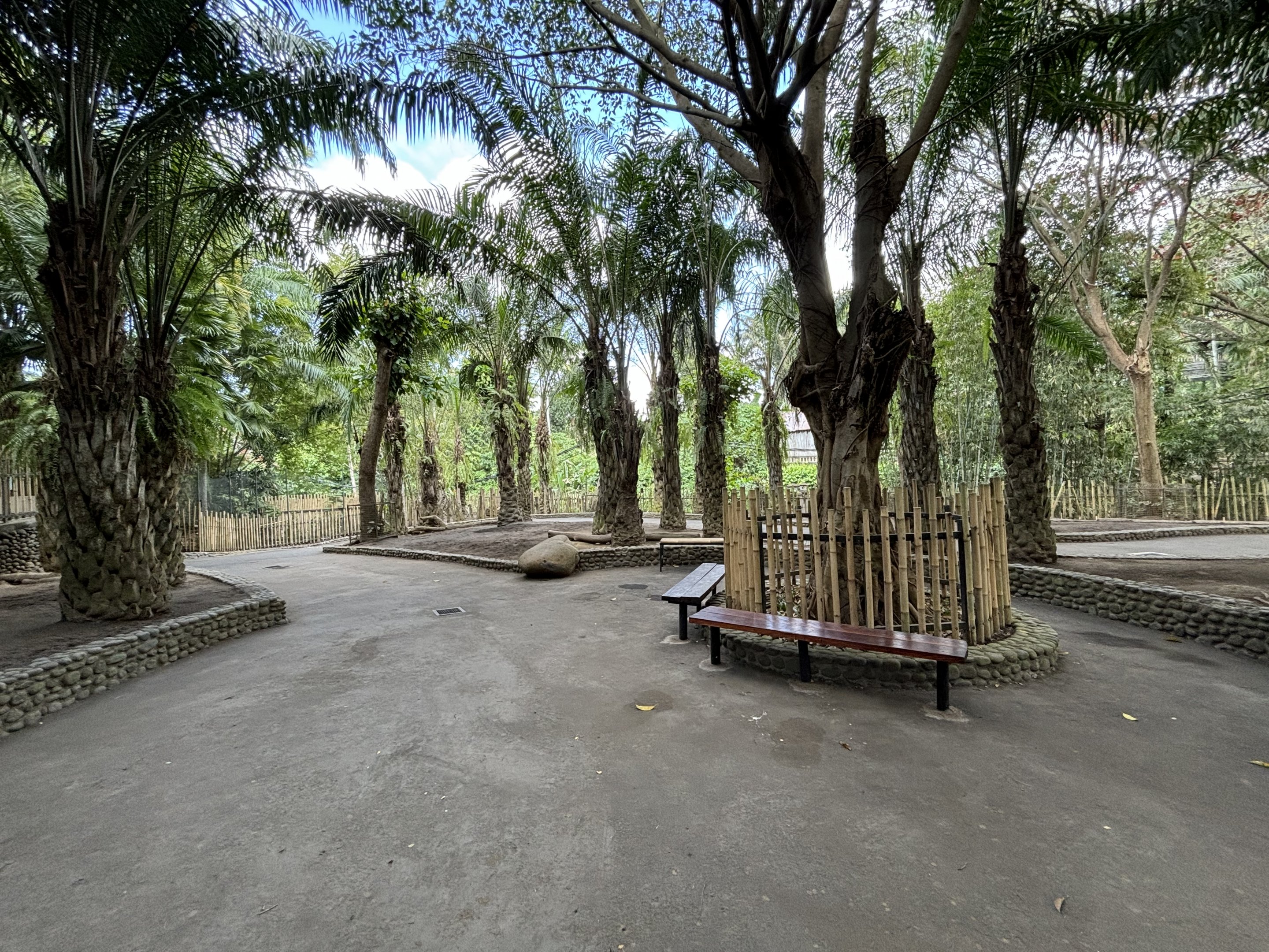 Walk-through Deer Exhibit