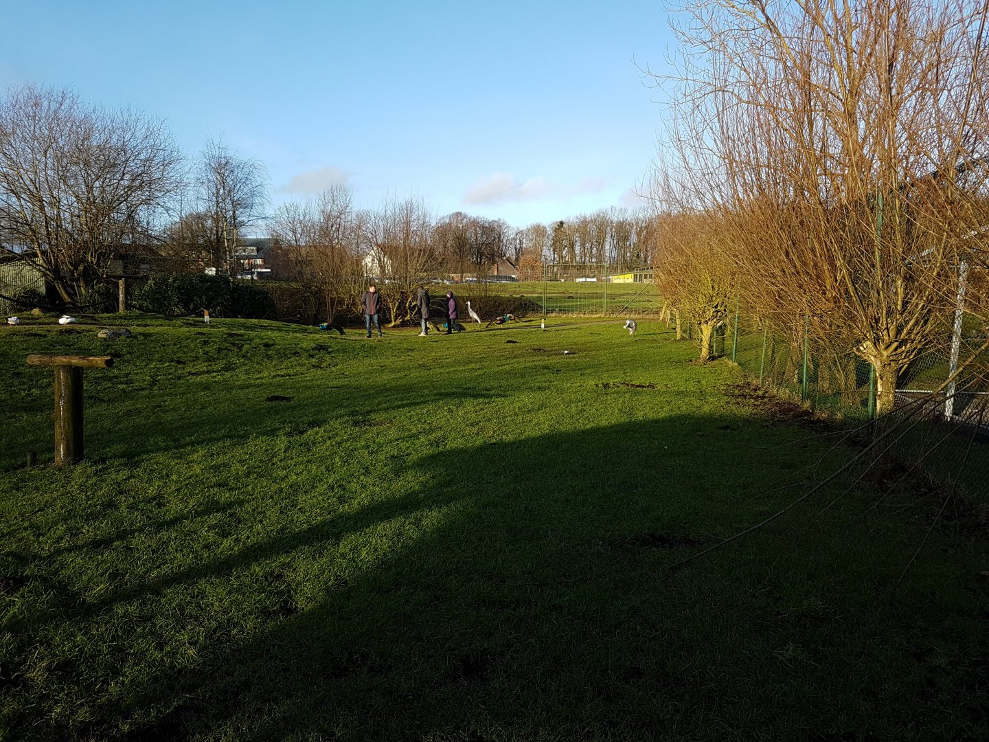 Walk-through-enclosure - Cranes and Waterfowl