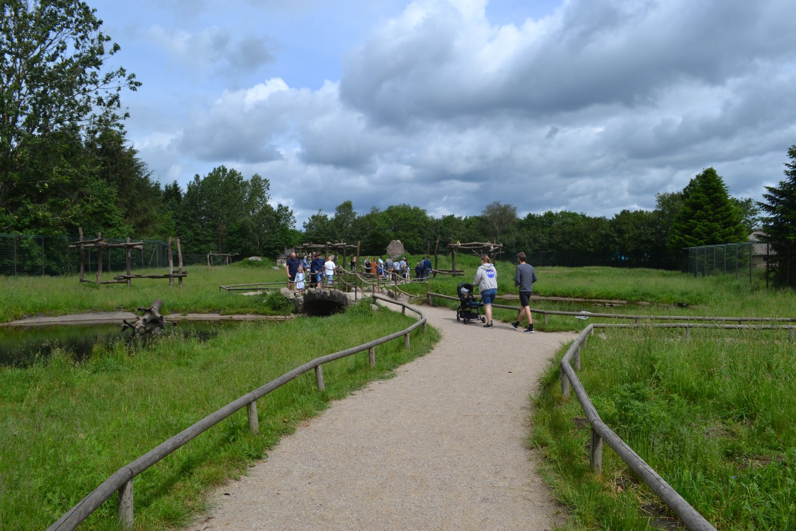 Walk-through enclosure for barbary macaque in Givskud Zoo