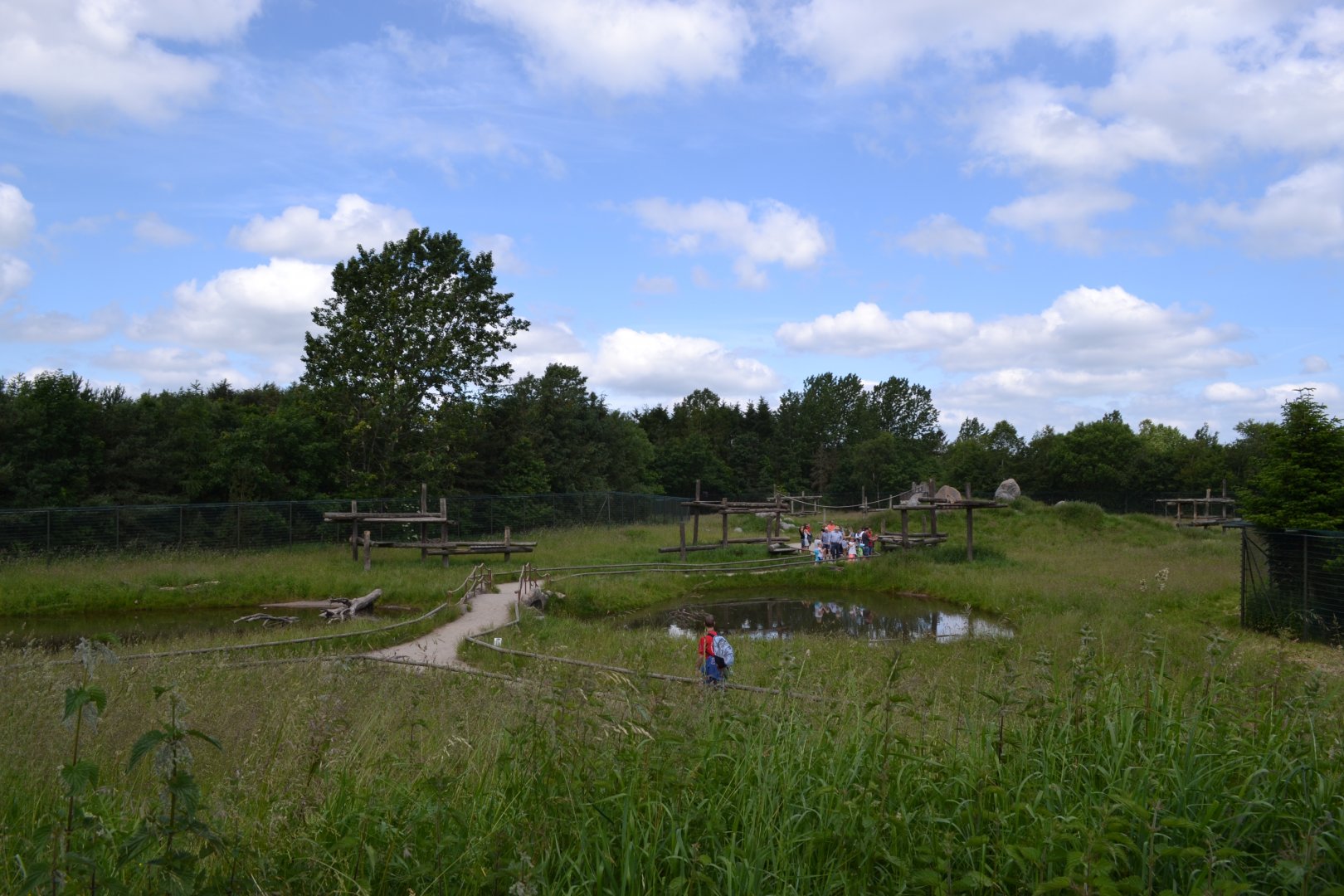 Walk-through enclosure for barbary macaques in GIvskud Zoo