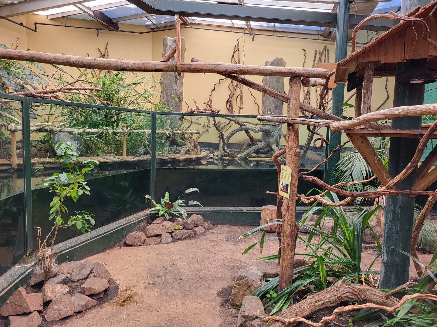 Walk-through enclosure Green iguana and Fish / Caiman tank