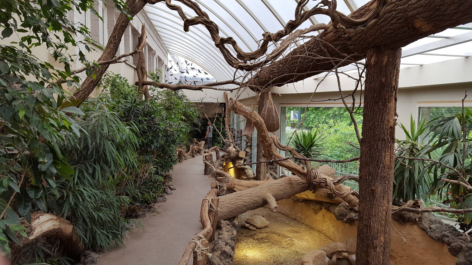 walk through enclosure in the reptile house
