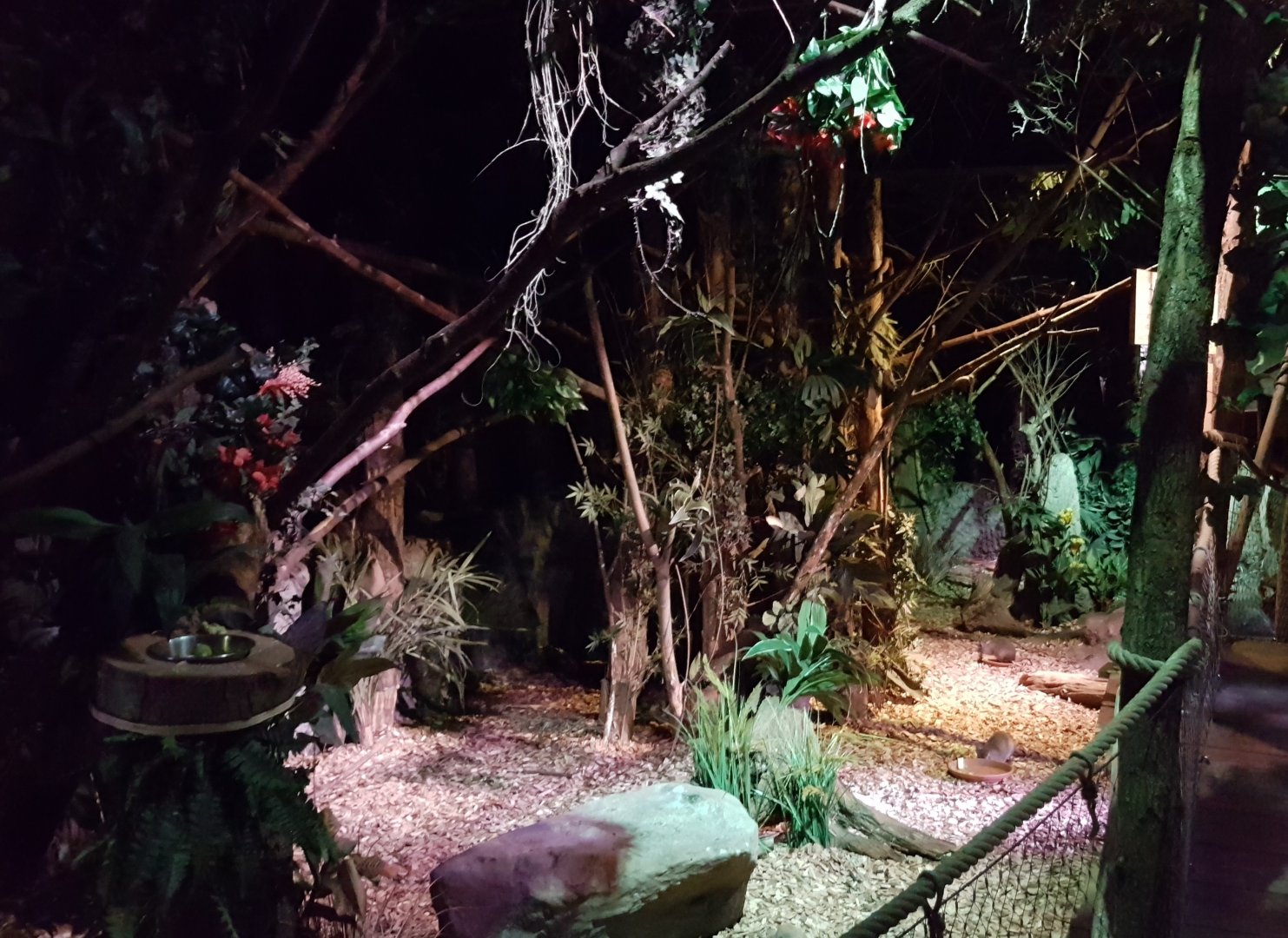 Walk-through enclosure Nocturnal House