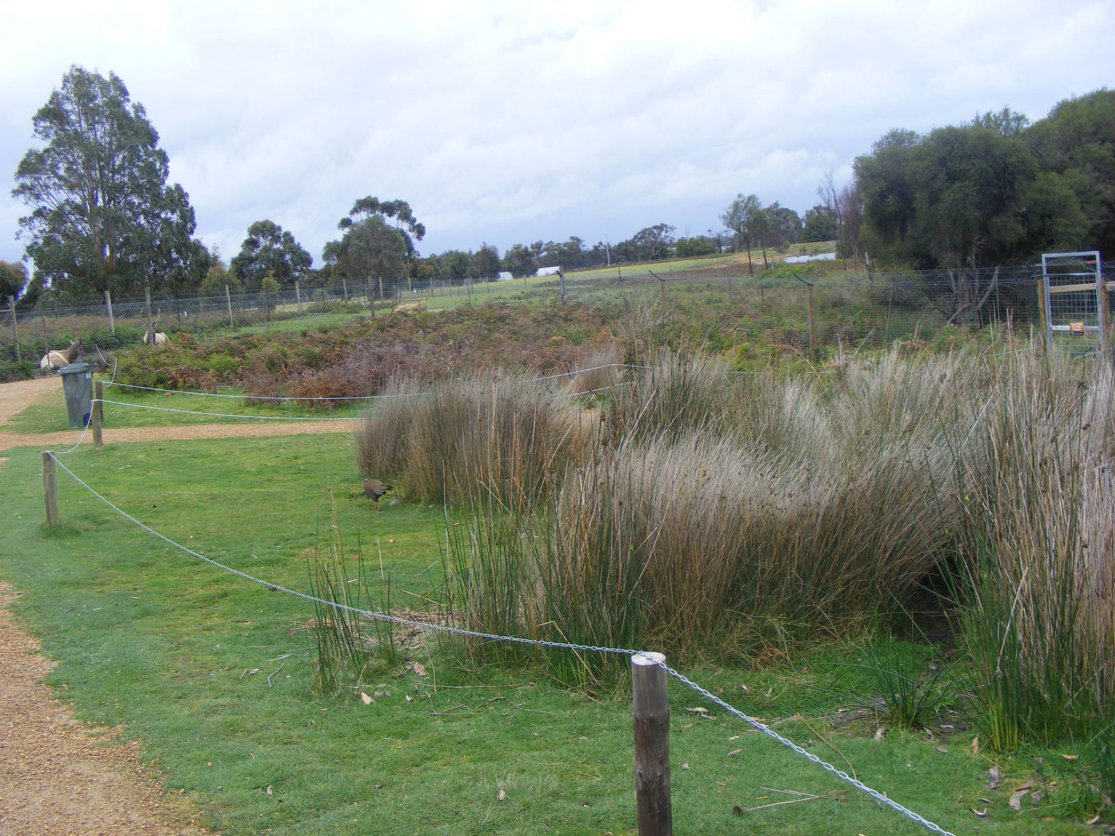 Walk-through Enclosure - September, 2009