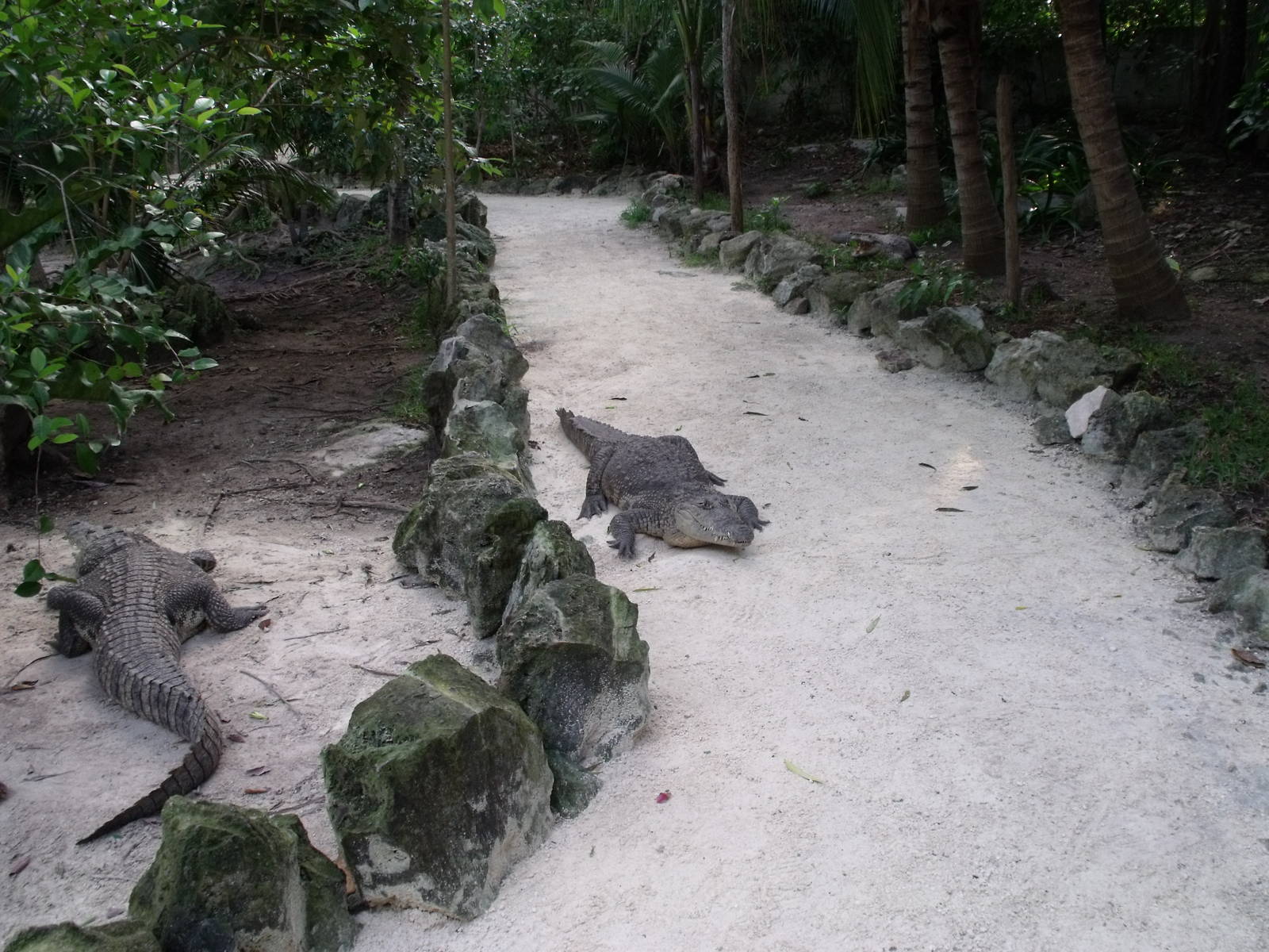 walk-through enclosure !