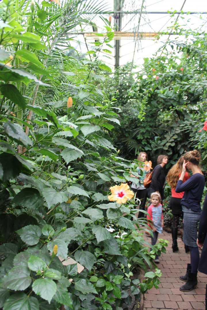 Walk-through enclosure