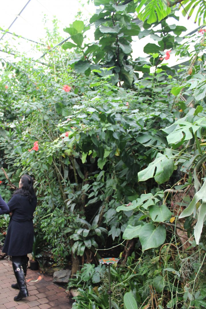 Walk-through enclosure