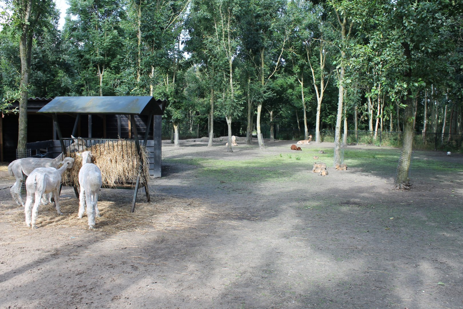 Walk-through Enclosure