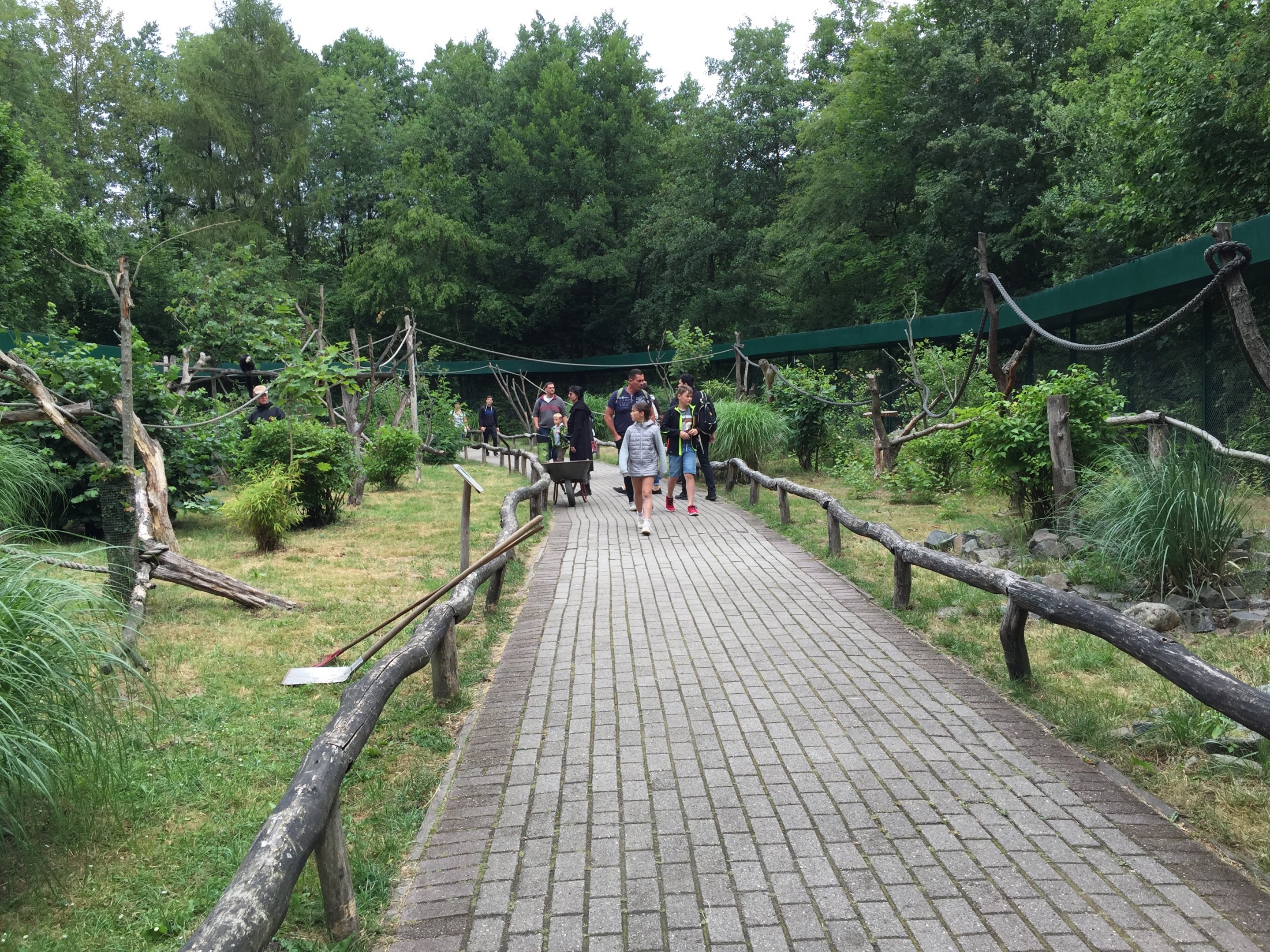 Walk through enclosure