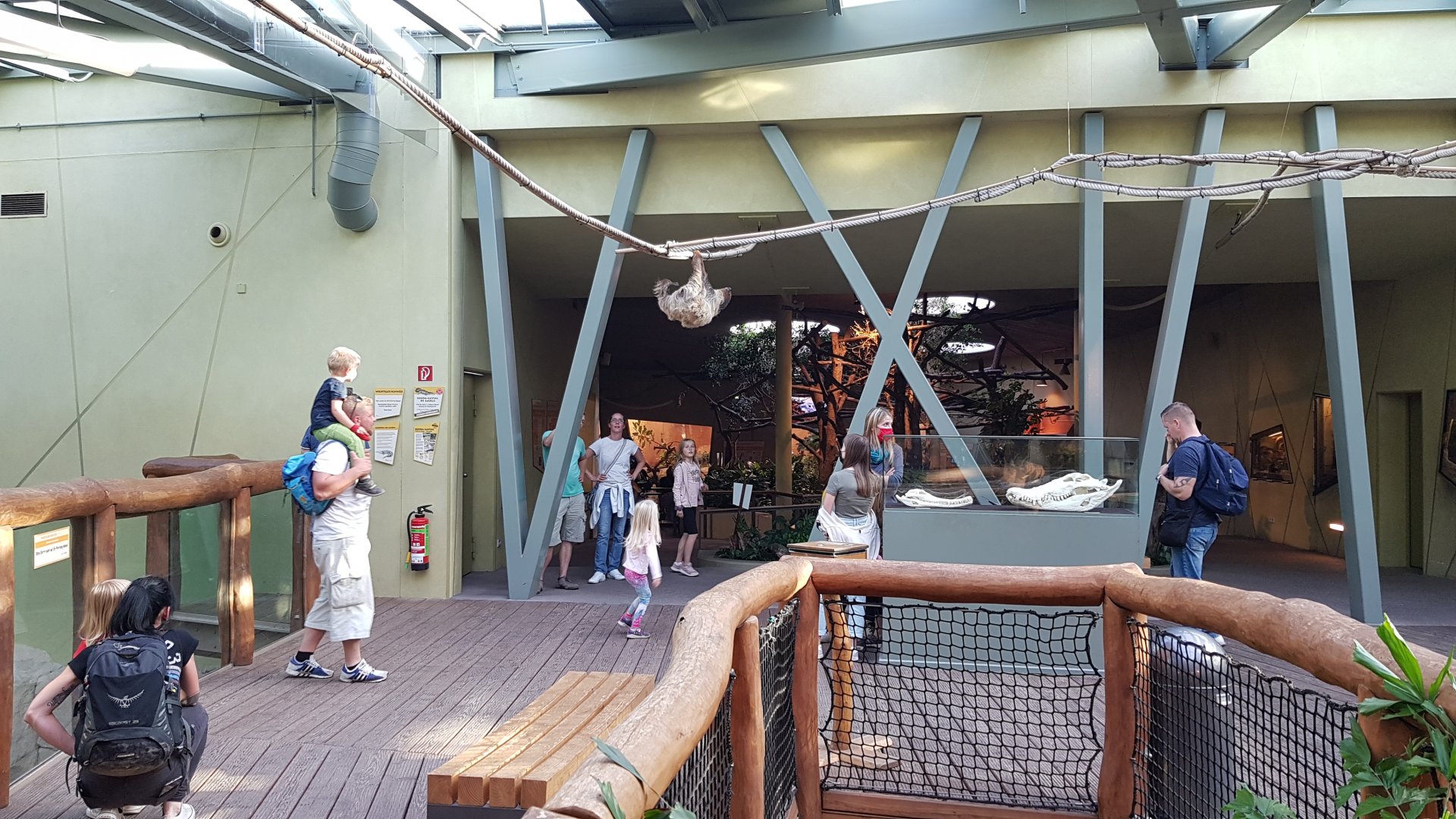 Walk through exhibit for sloths