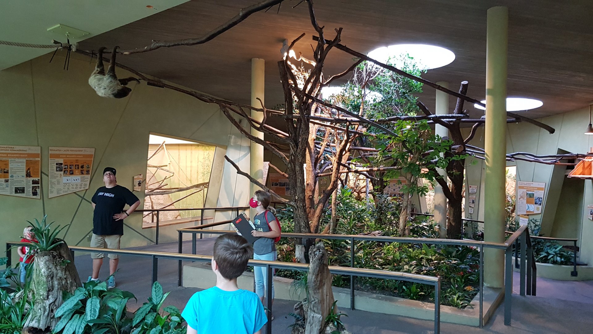 Walk through exhibit for sloths