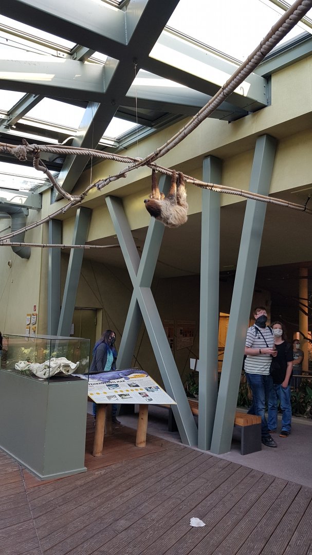 Walk through exhibit for sloths