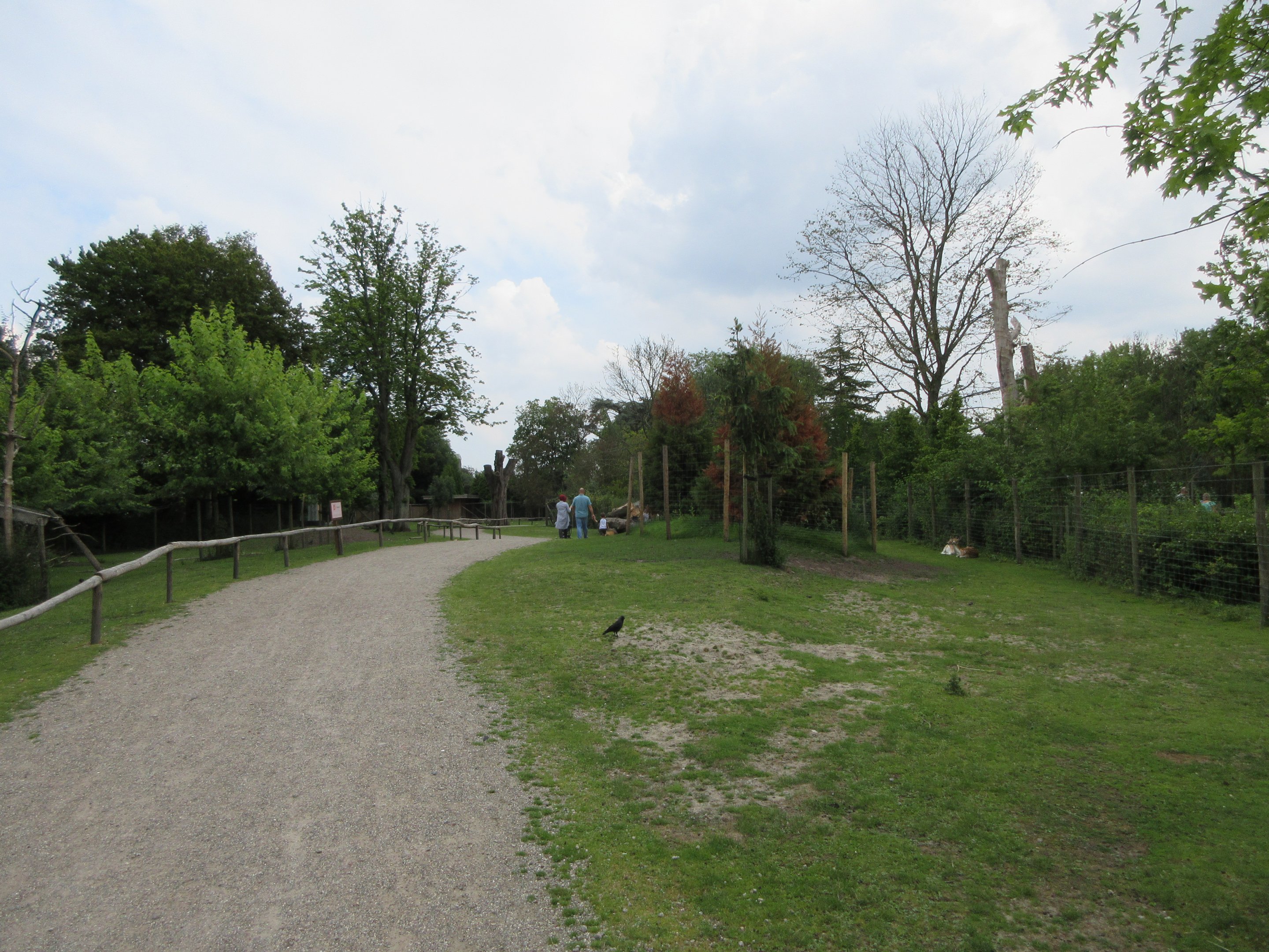 Walk-through Fallow Deer Exhibit