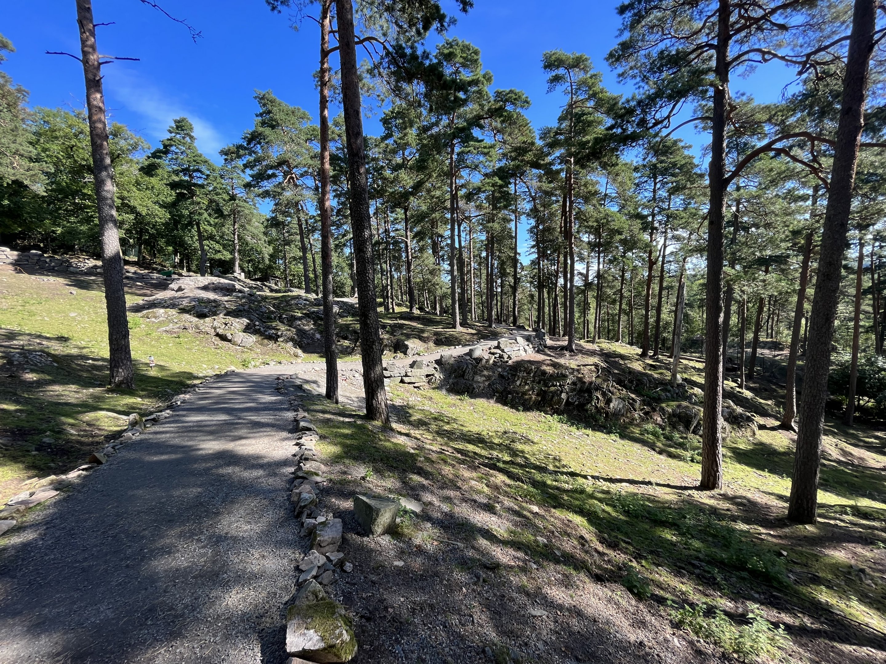 Walk Through Fallow Deer Exhibit