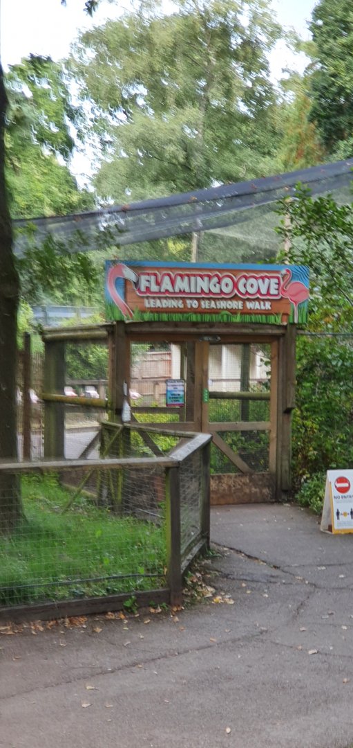 Walk through flamingo avairy