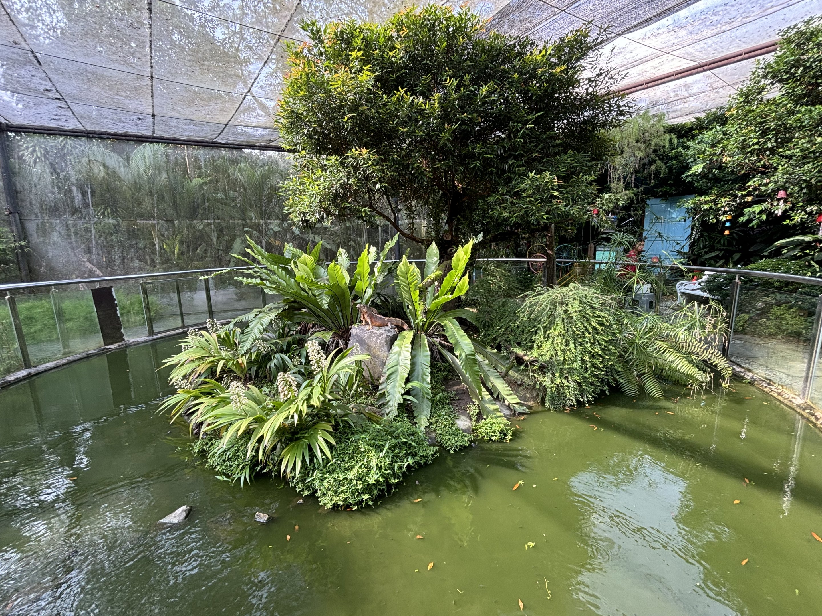 Walk-through Garden + Aviary