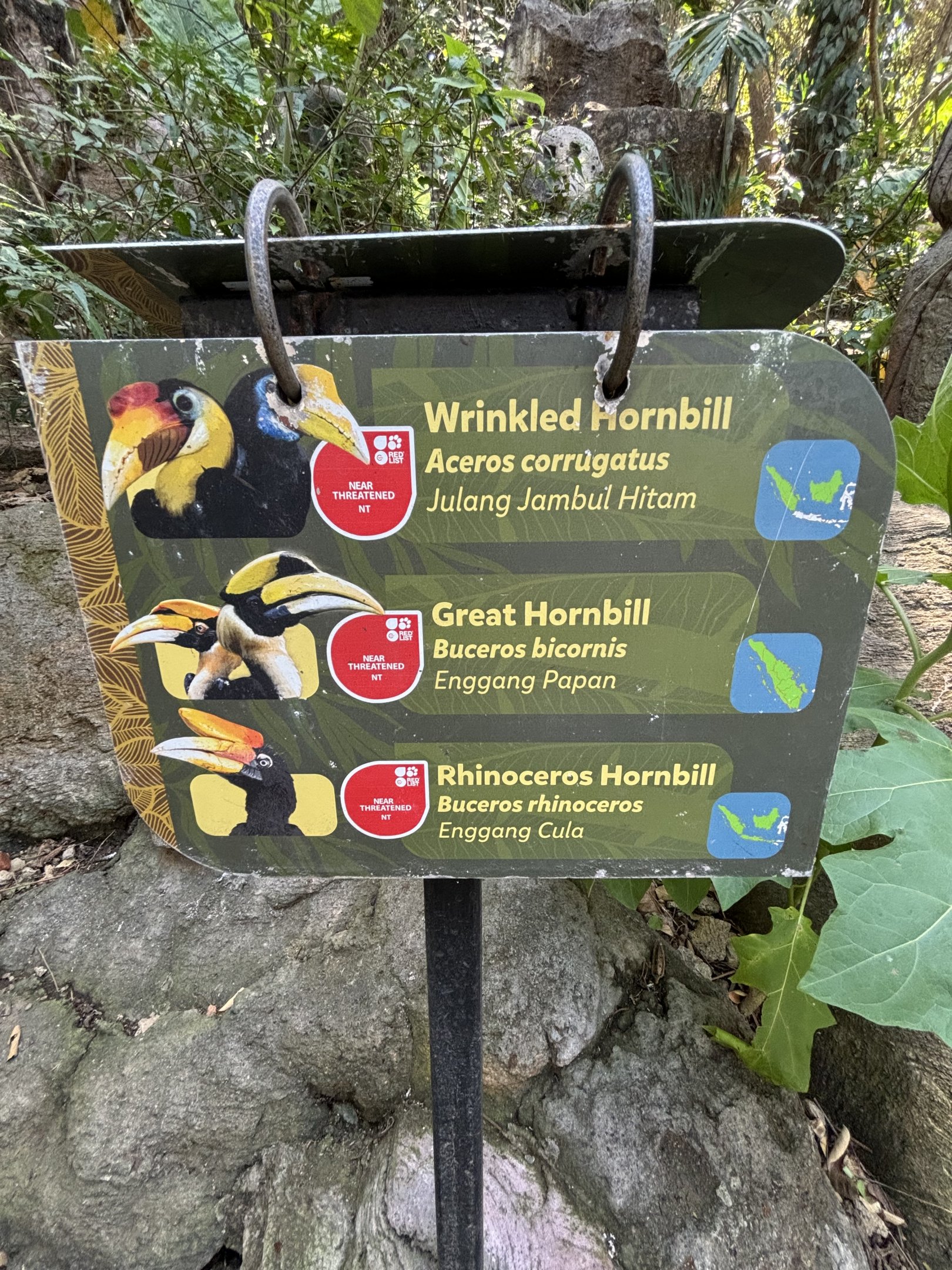 Walk-through Hornbill Aviary - signs