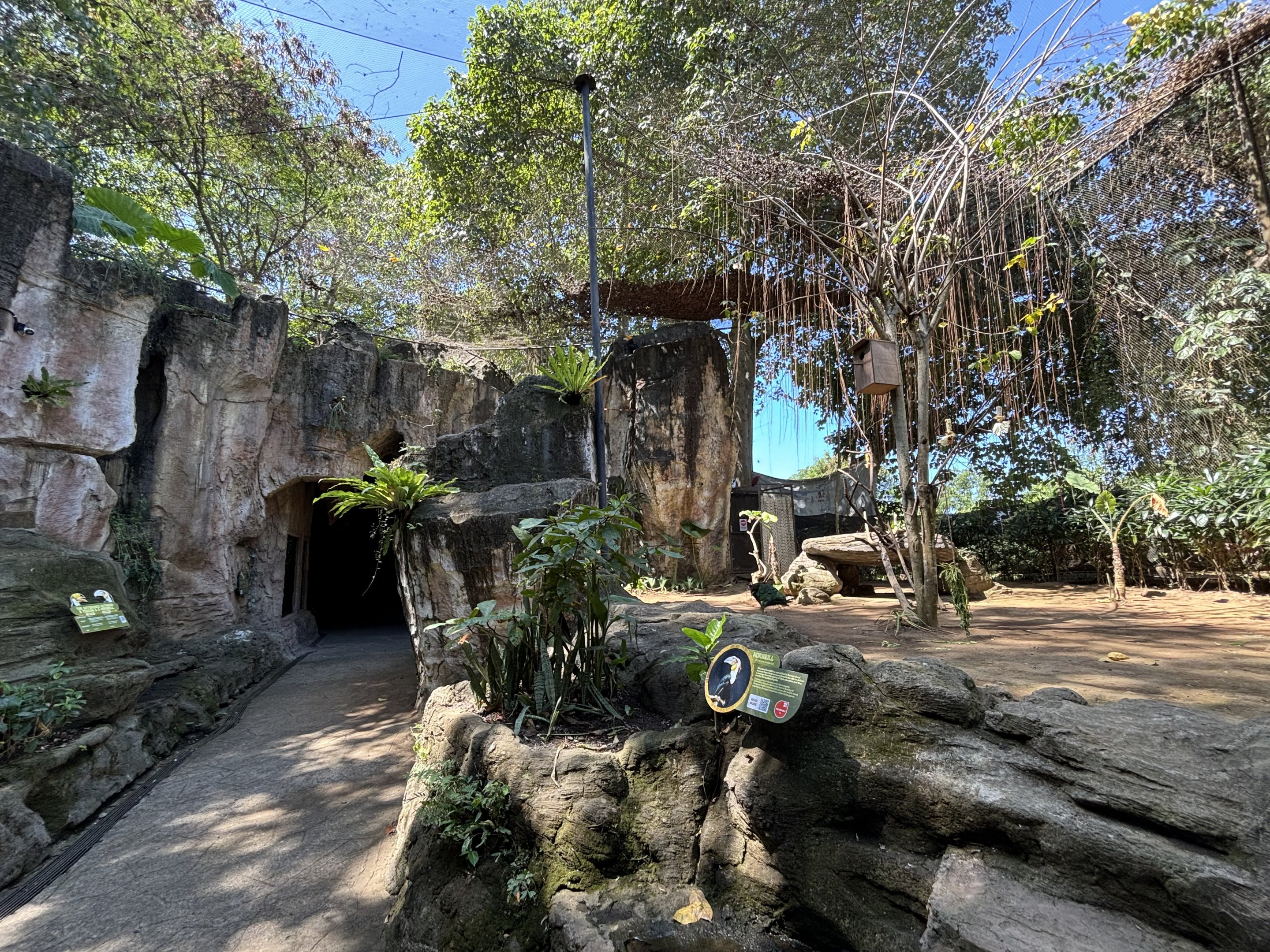 Walk-through Hornbill Aviary