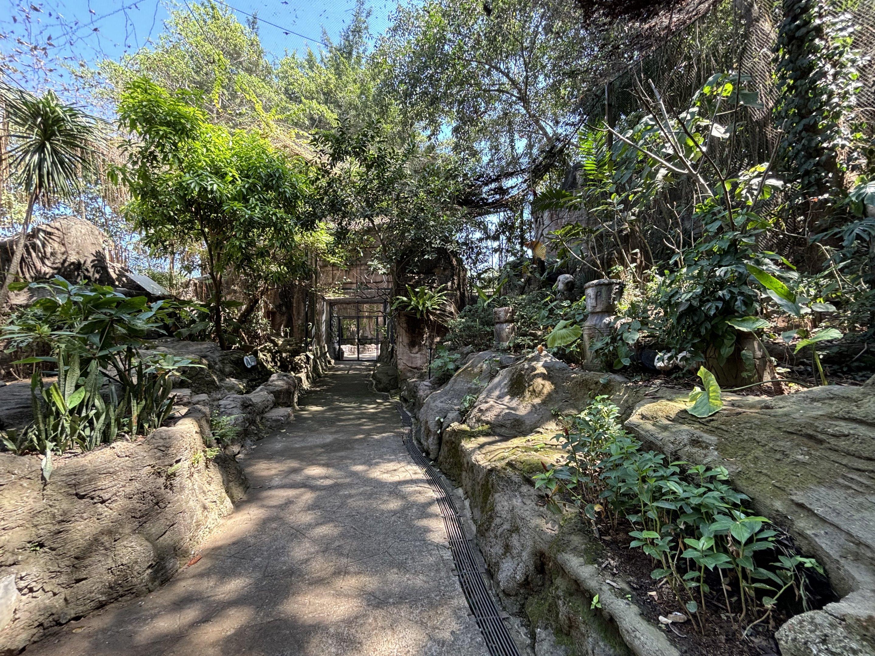 Walk-through Hornbill Aviary