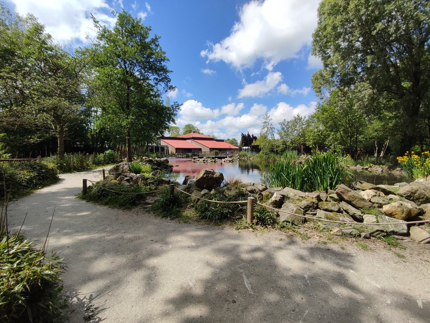 Walk-through Humboldt penguin enclosure - large pond