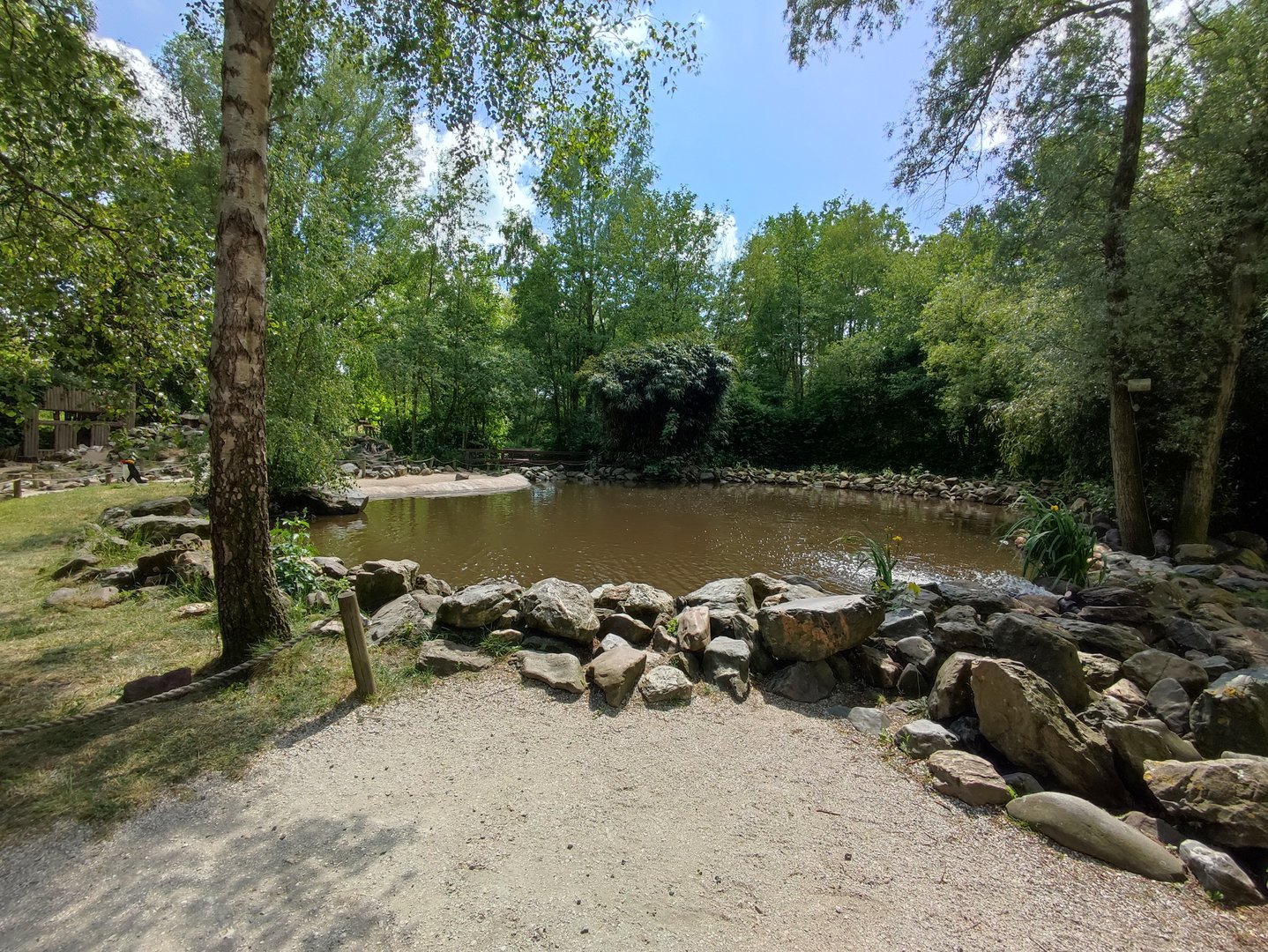 Walk-through Humboldt penguin enclosure - small pond