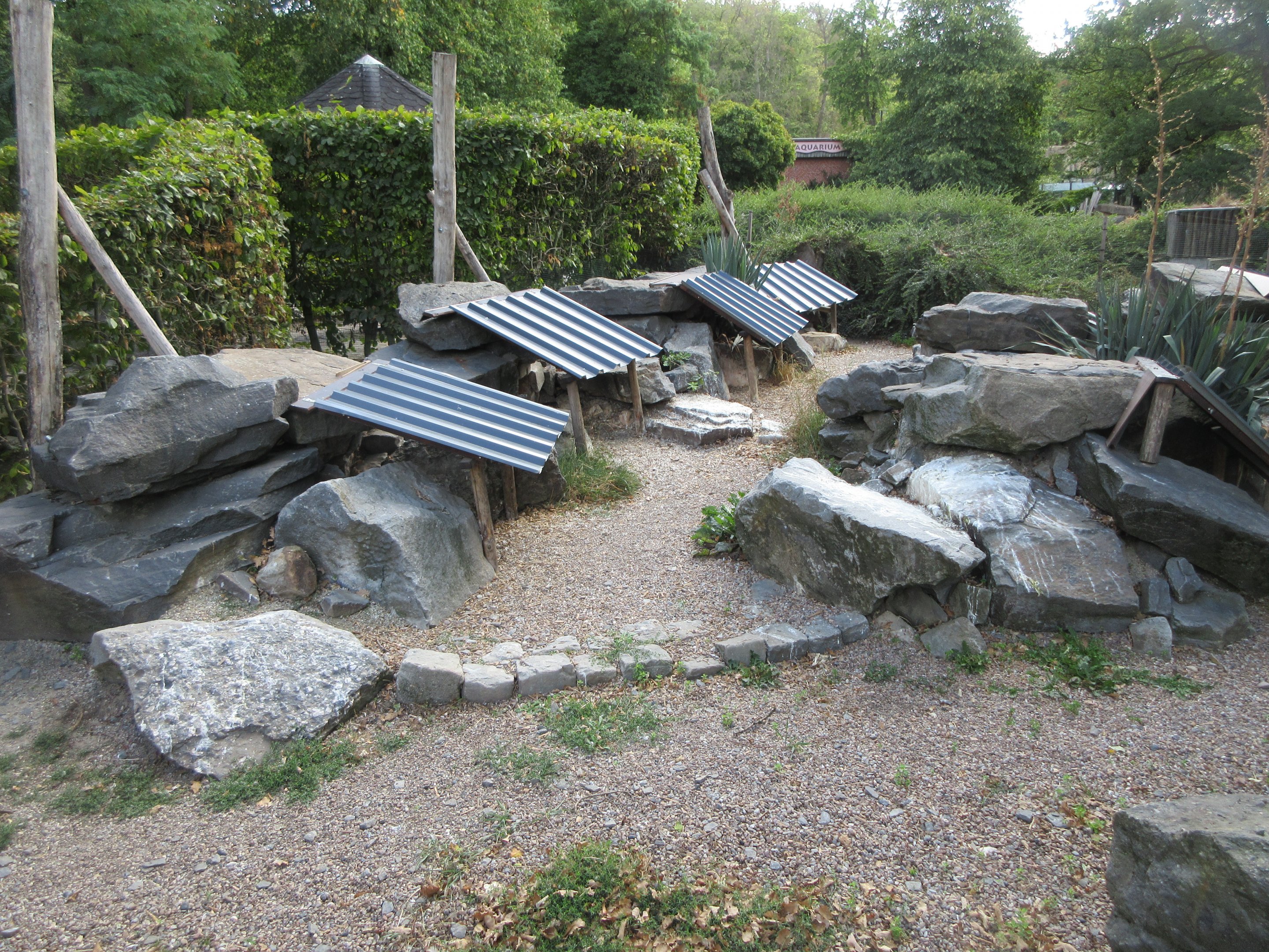 Walk-through Humboldt Penguin Exhibit - shelters