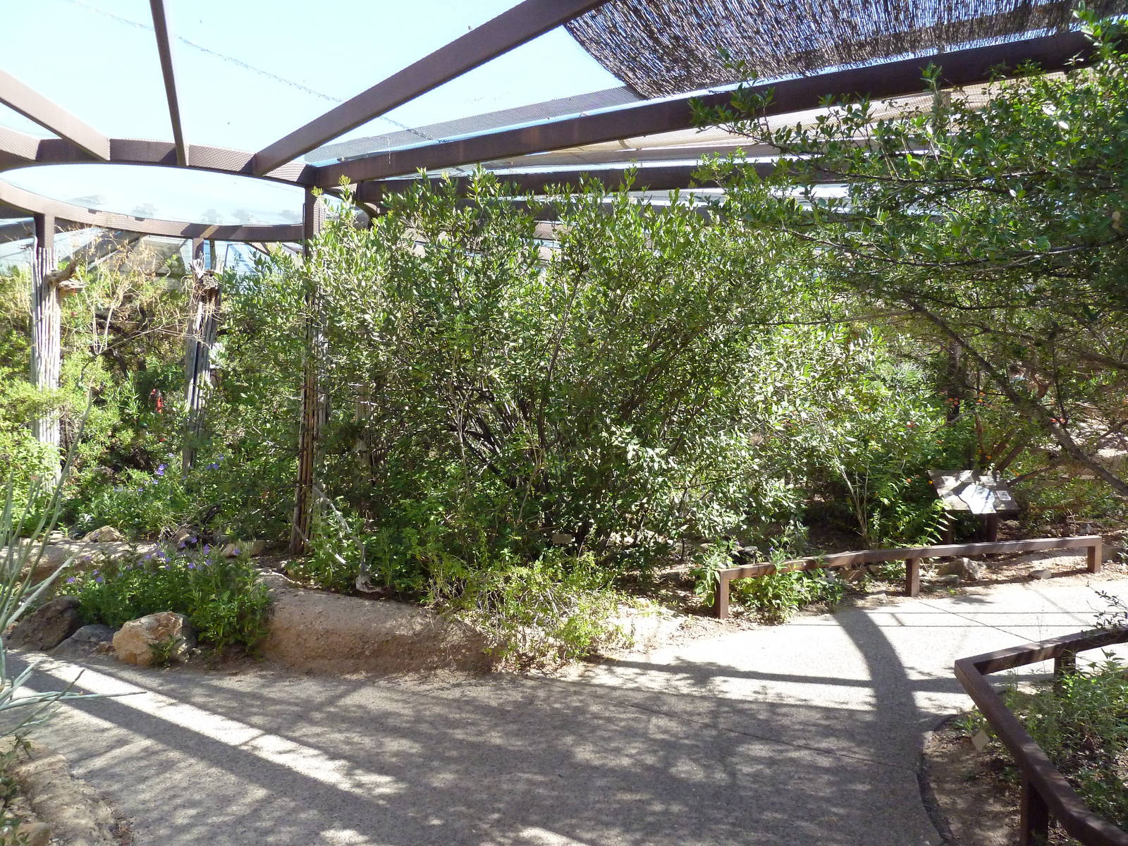 Walk-Through Hummingbird Aviary