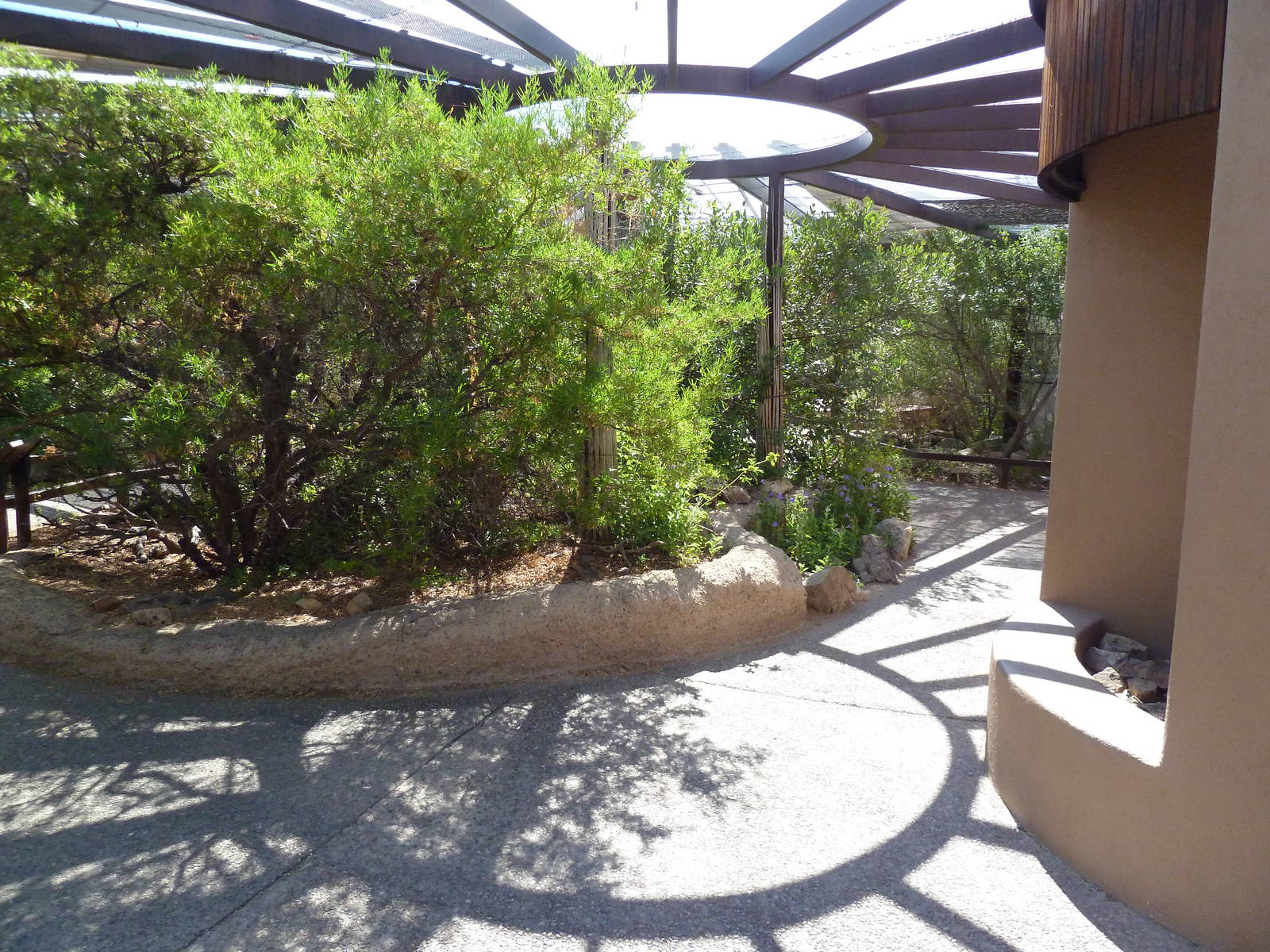 Walk-Through Hummingbird Aviary