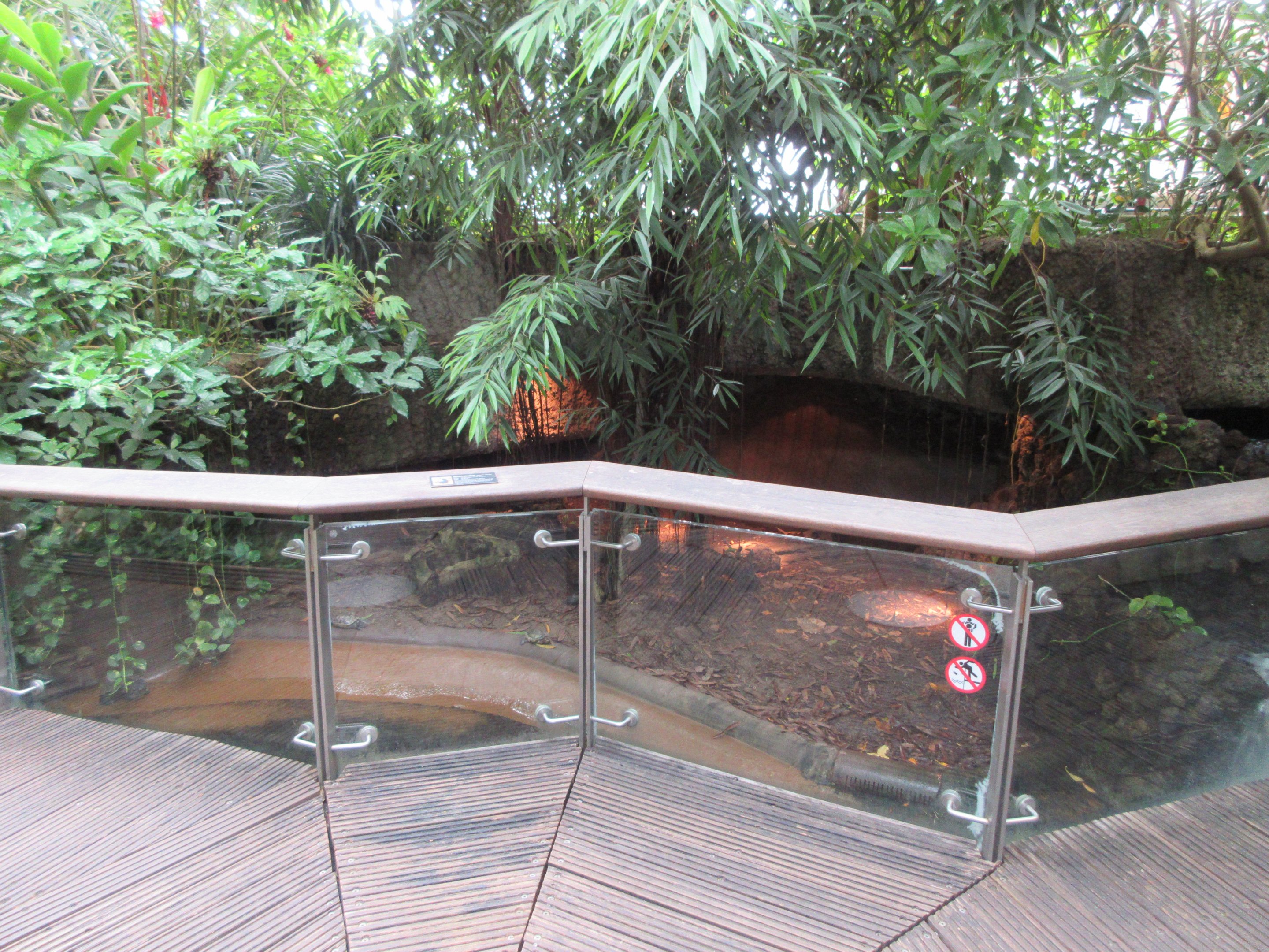 Walk-Through Jungle Area