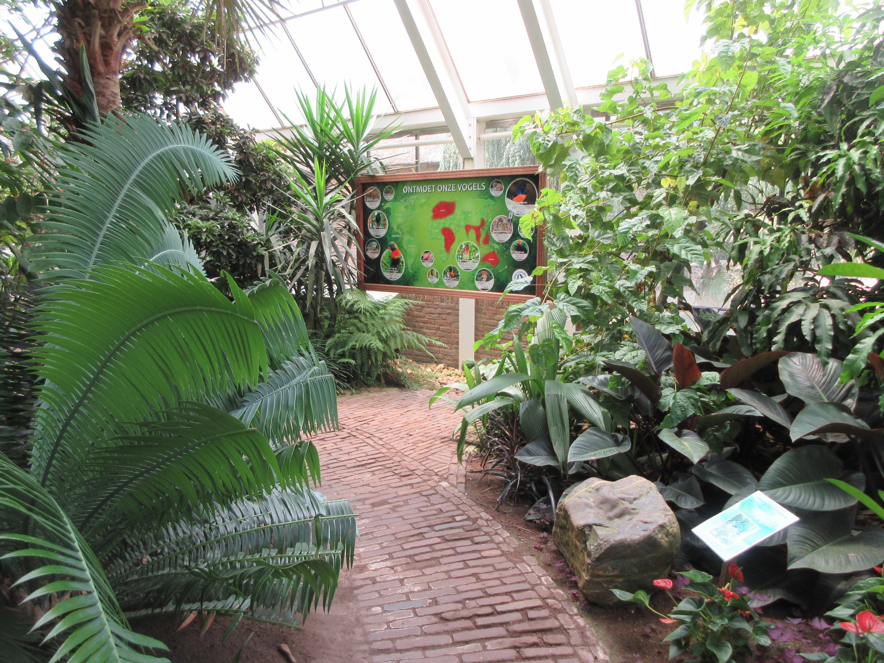 Walk-through Jungle (very small)