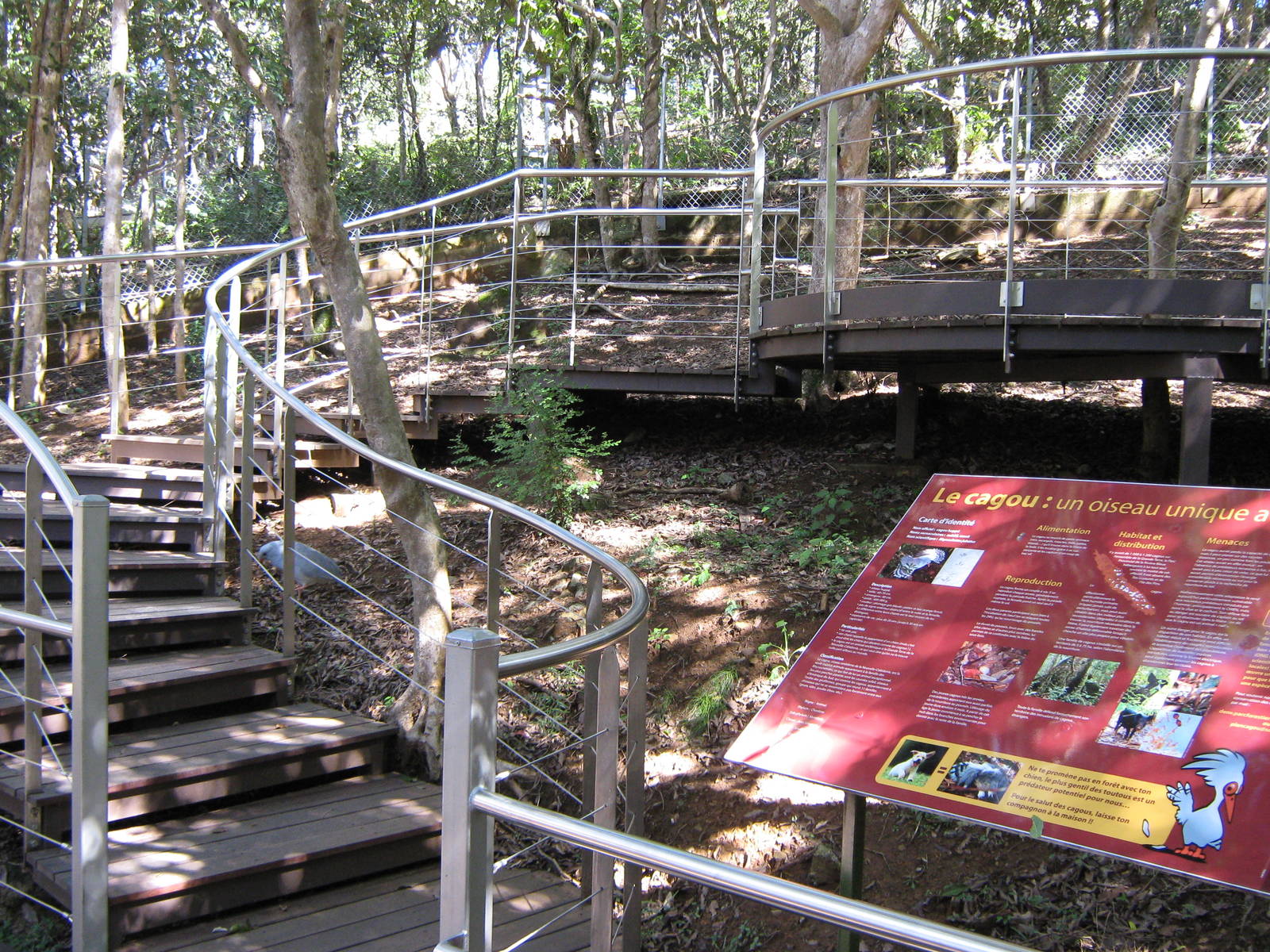 walk-through kagu enclosure