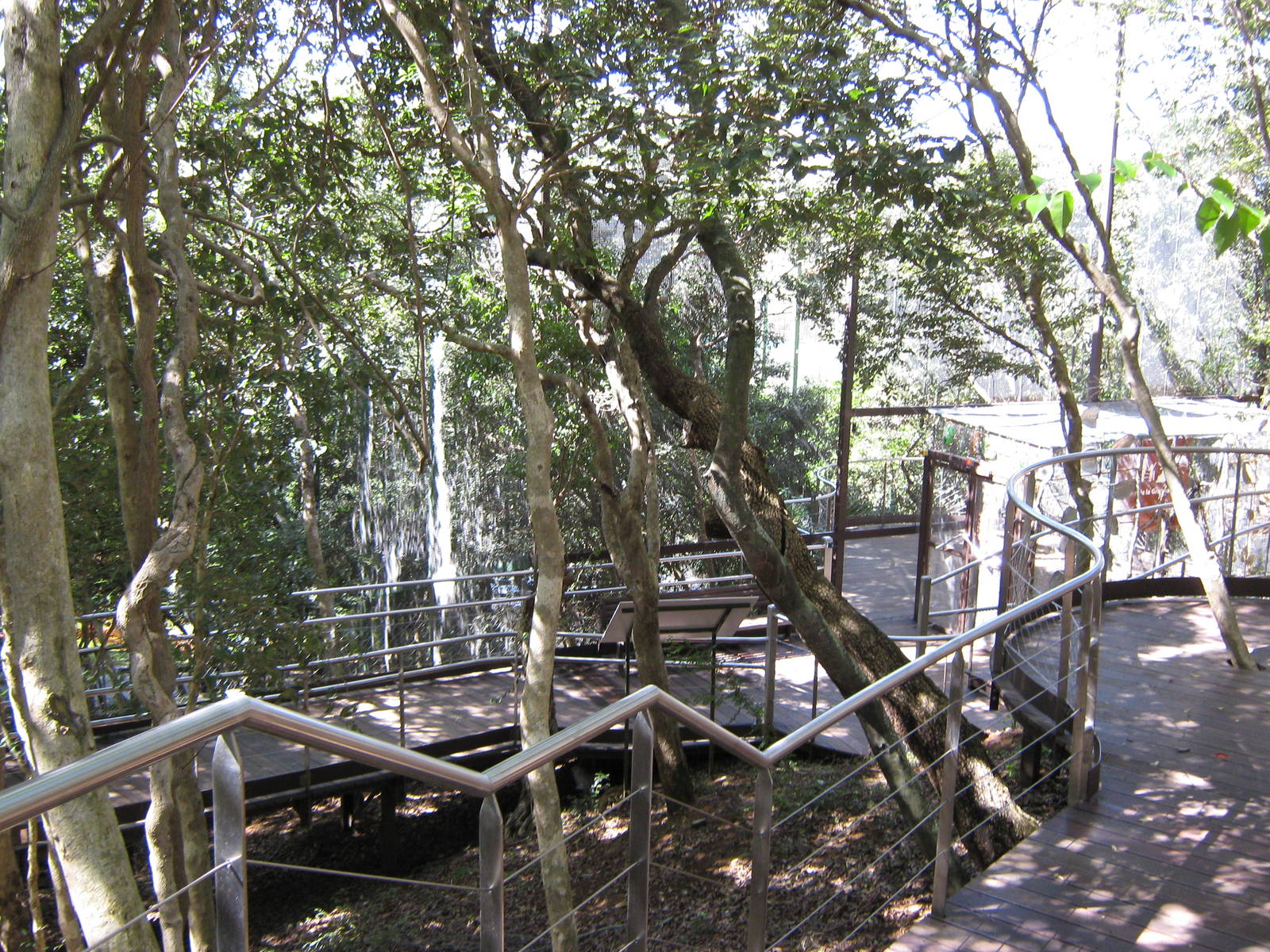 walk-through kagu enclosure