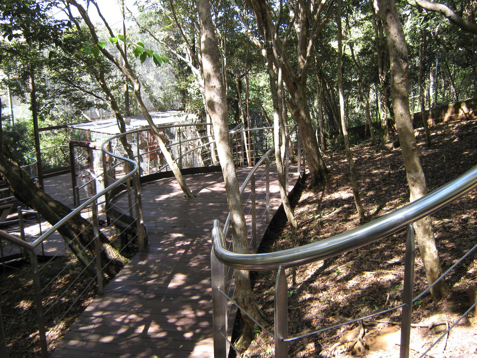 walk-through kagu enclosure