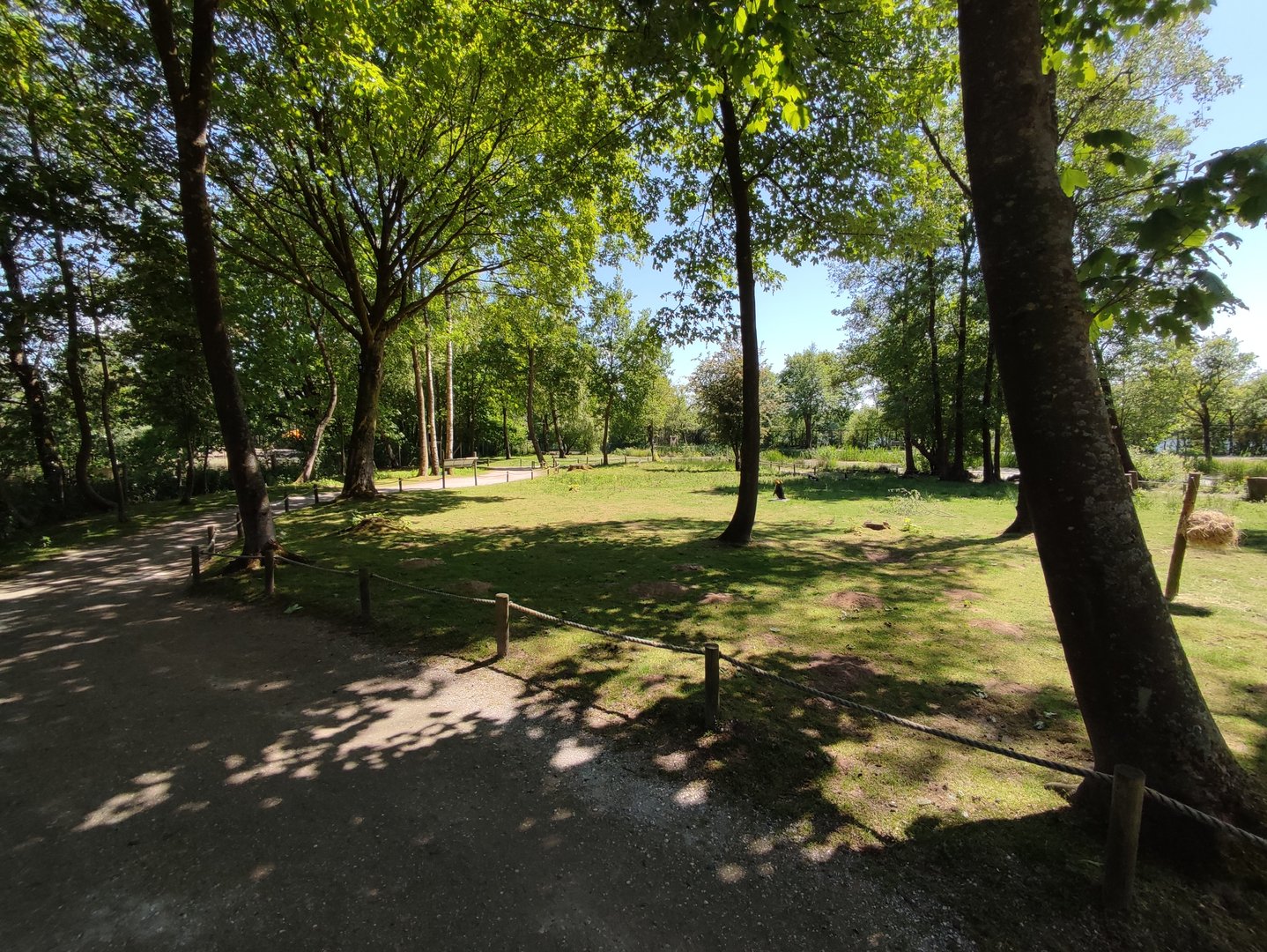 Walk-through kangaroo enclosure