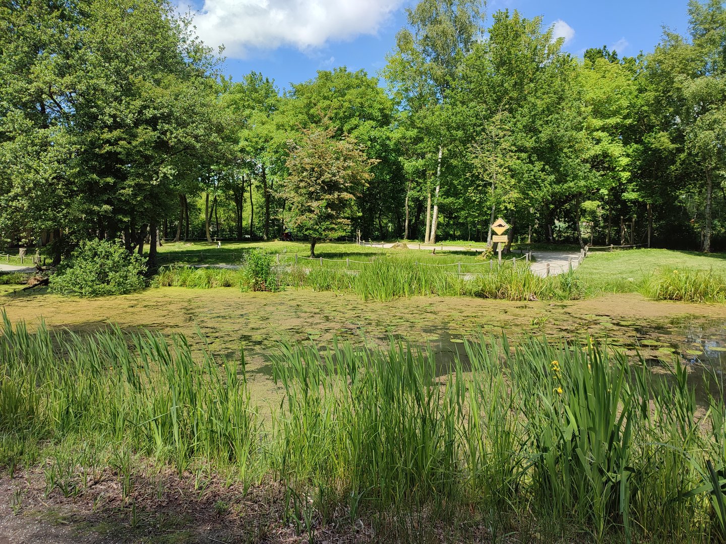Walk-through kangaroo enclosure