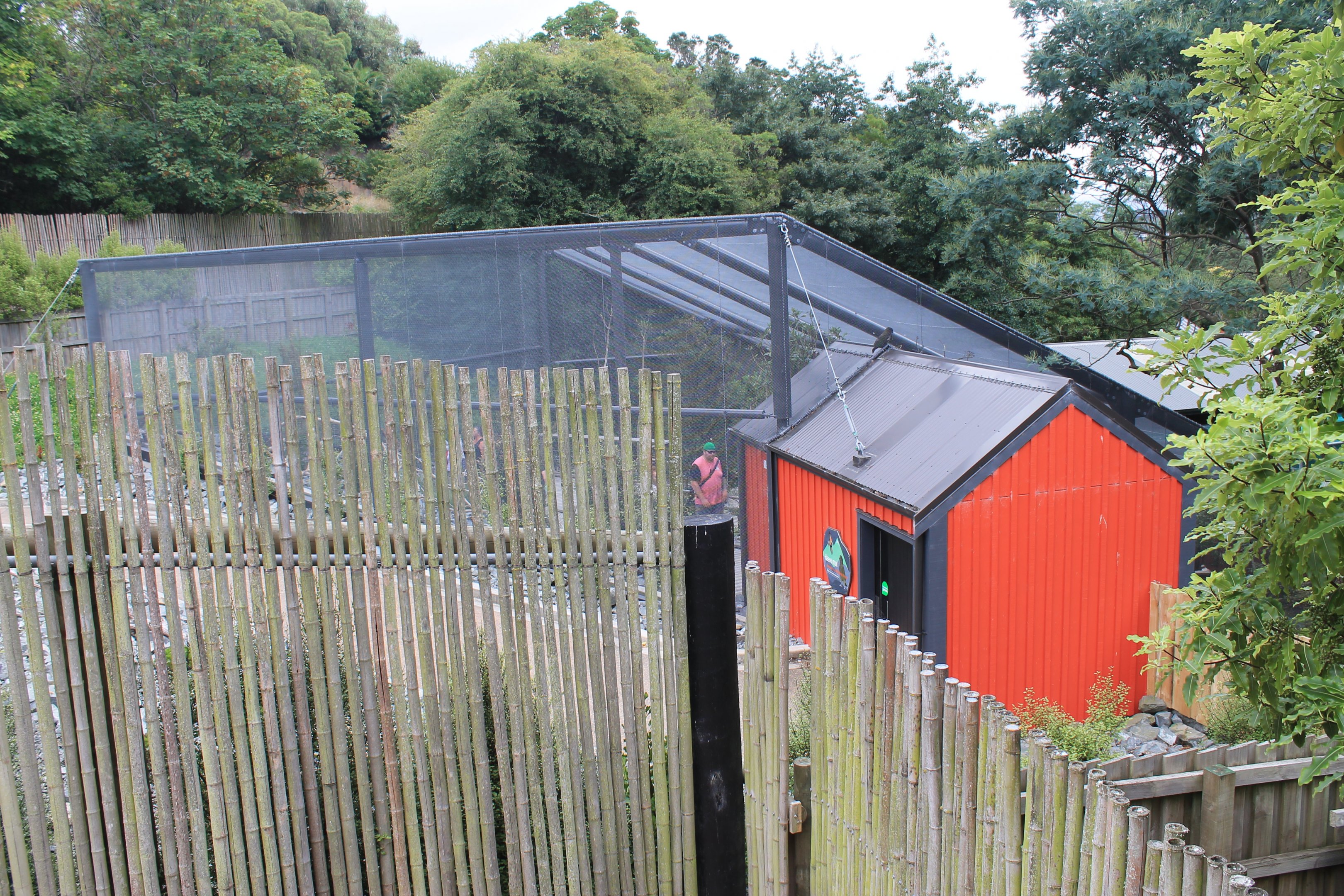 Walk-through Kea Aviary, Meet The Locals