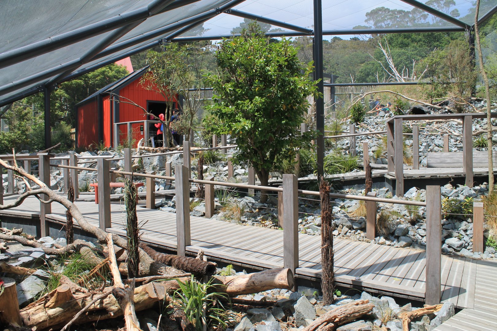 Walk-through Kea Aviary
