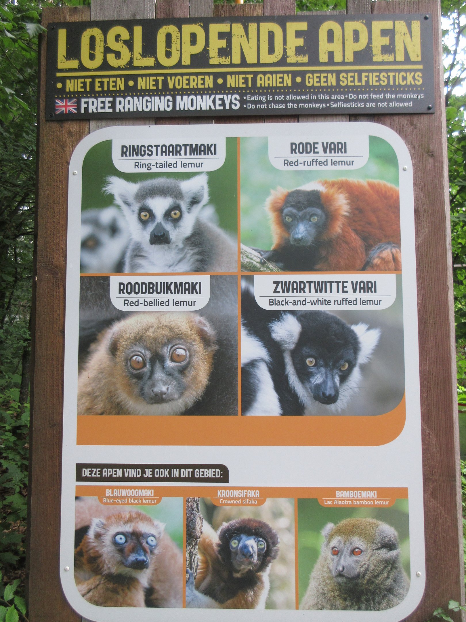 Walk-through Lemur Exhibit Sign