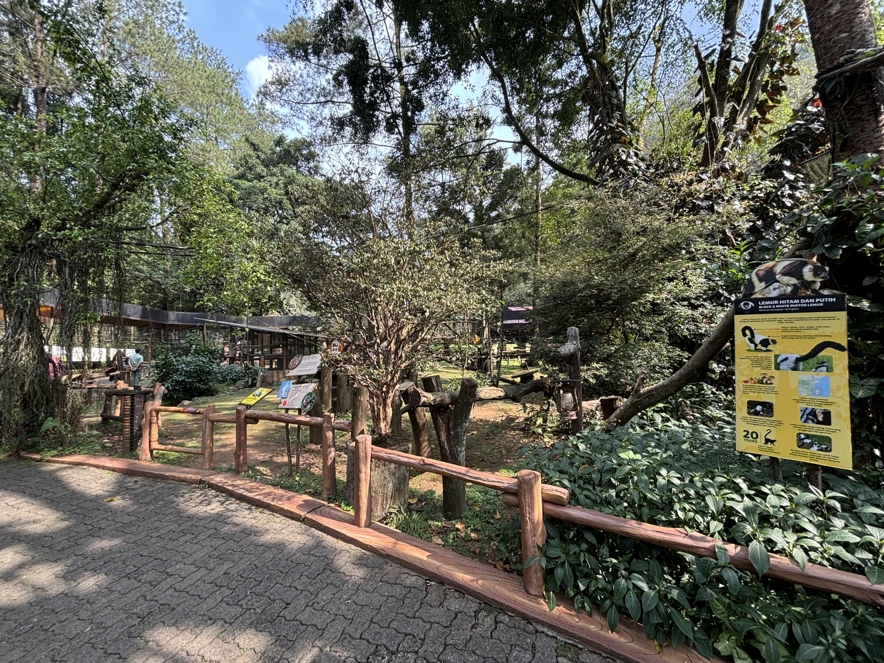 Walk-through Lemur Exhibit