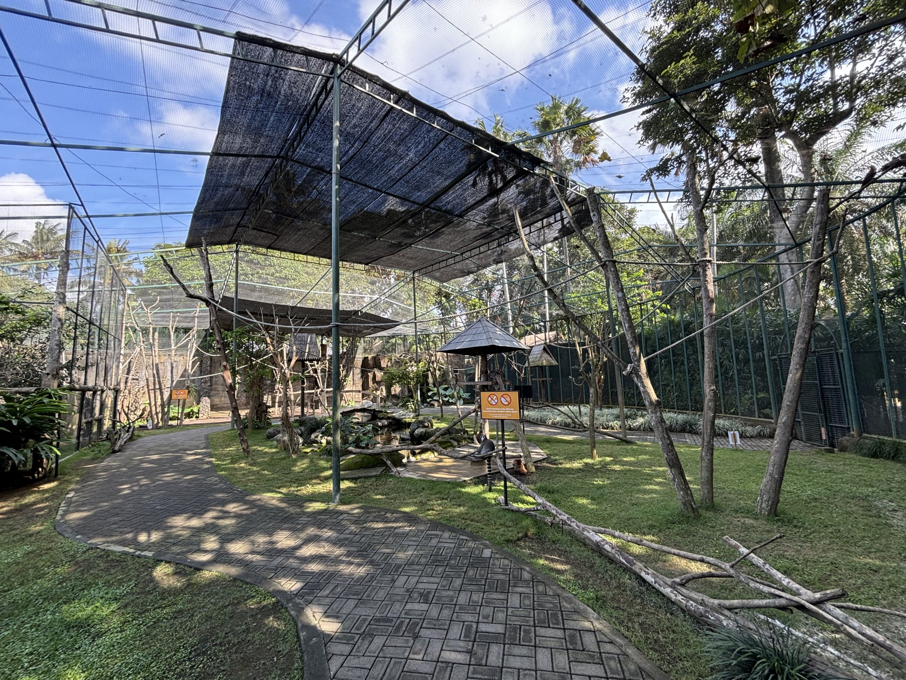 Walk-through Lemur/Hornbill/Mouse-deer Exhibit