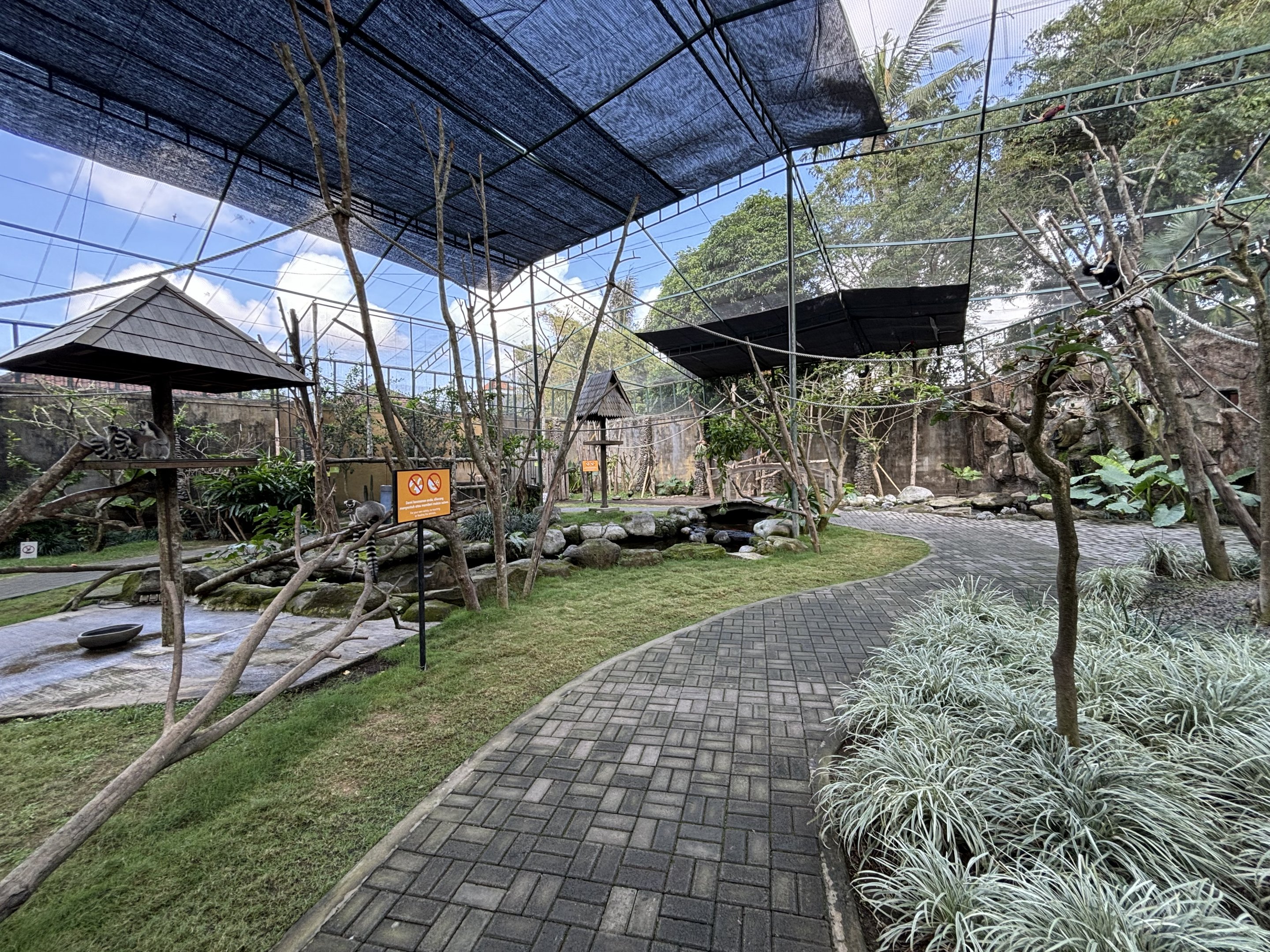 Walk-through Lemur/Hornbill/Mouse-deer Exhibit