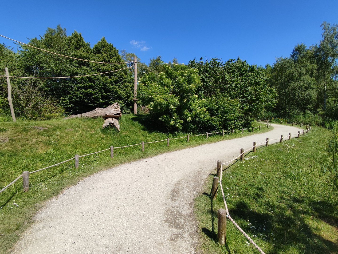 Walk-through lemur island