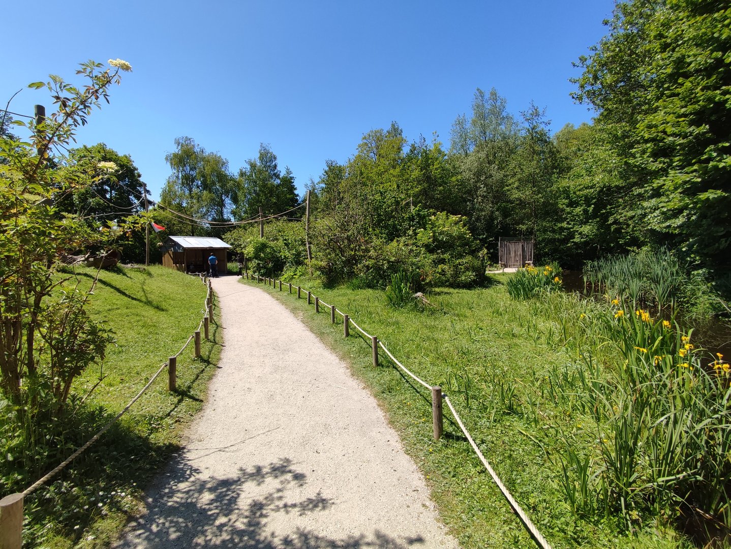 Walk-through lemur island