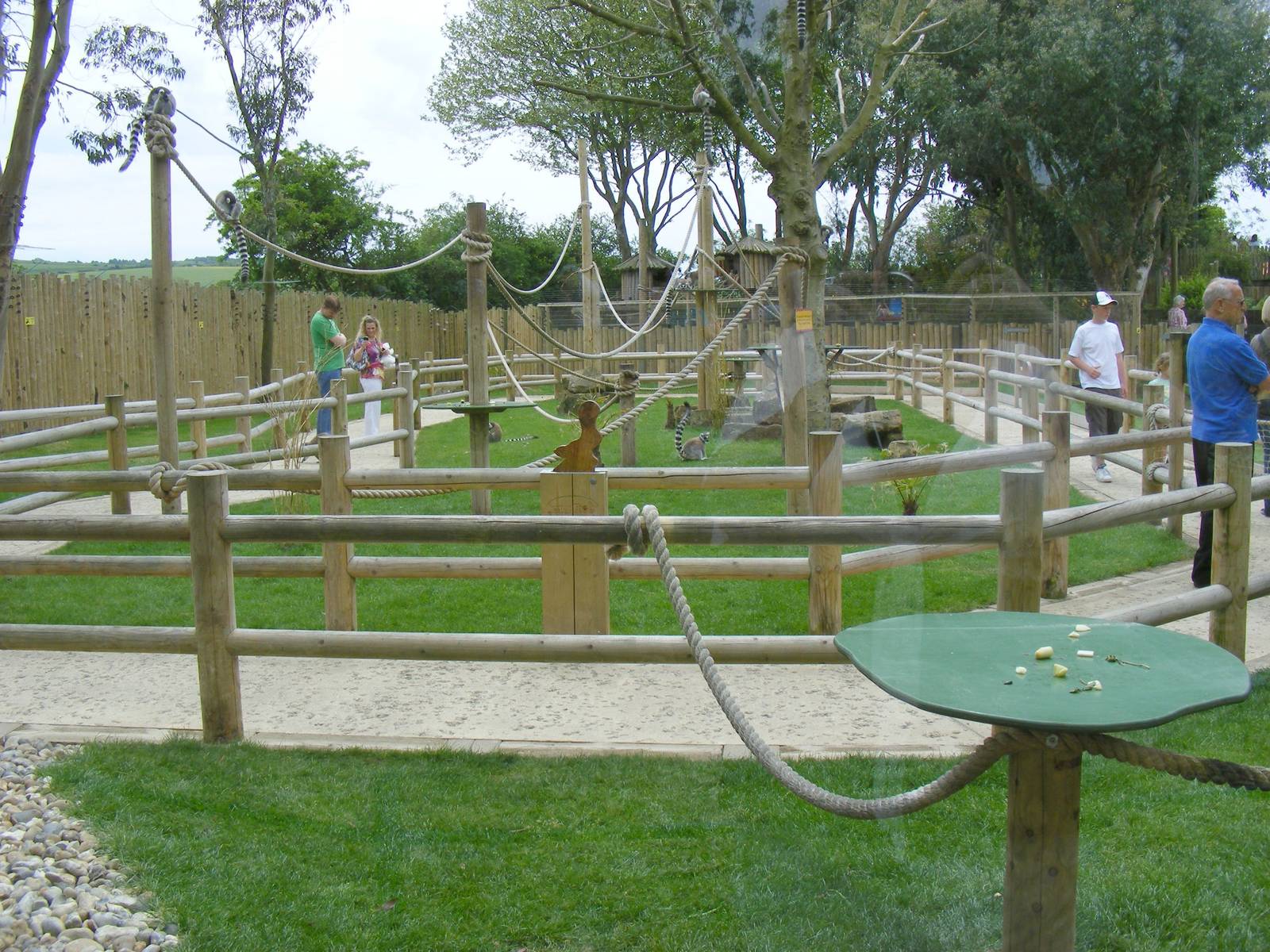 Walk-through Lemurland exhibit at Drusillas Park, 23 May 2009