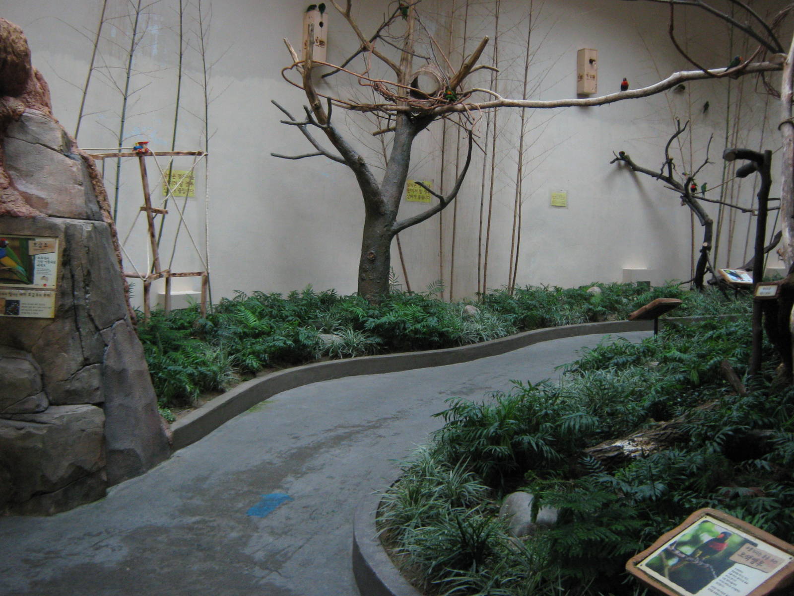 walk-through lorikeet aviary in the Bird House