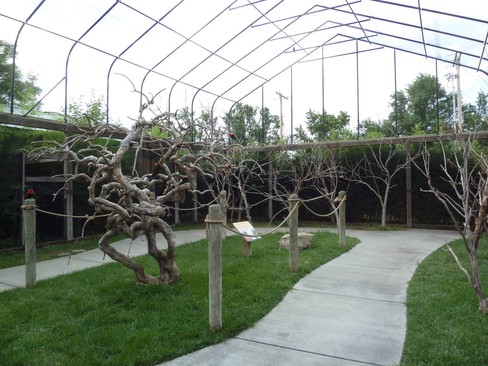 Walk-Through Lorikeet Aviary