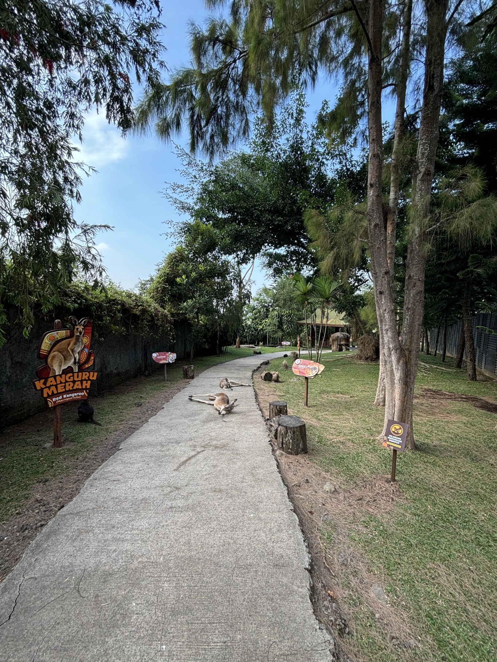 Walk-through Macropod Exhibit #1