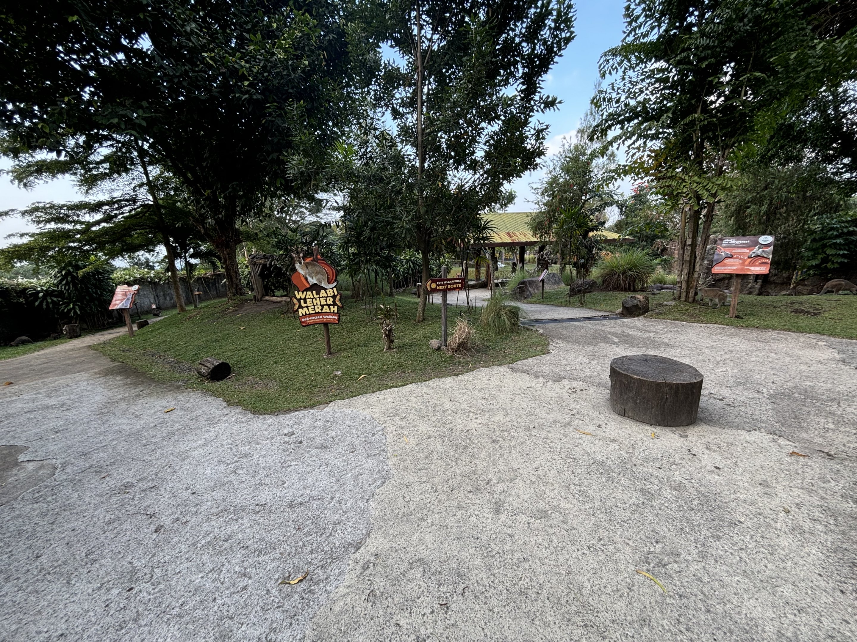 Walk-through Macropod Exhibit #1